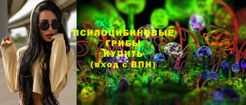 купить   MEGA онион  Псилоцибиновые грибы MAGIC MUSHROOMS  Гурьевск 